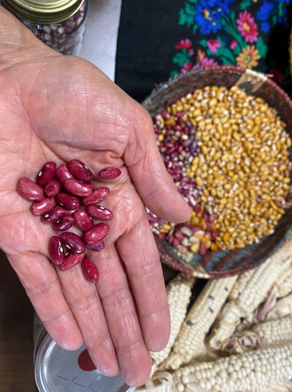 Corn, beans, and squash have been staples of New Mexican agriculture for centuries.